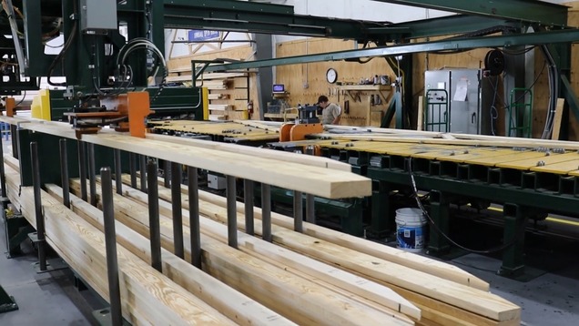 Workers feed lumber onto an automated conveyor line inside a lumber processing facility.